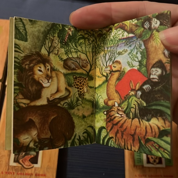 Tiny Golden Book Library - Picture 4 of 12